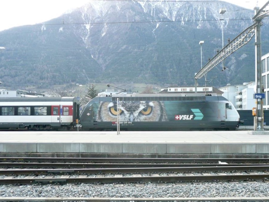Re 460 105 mit VSLF Werbung am 9.9.15 in Brig.