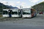 Die vier ausrangierten Citaro vom Ortsbus Brig-Glis am 17.8.16 beim Simplontunnel.